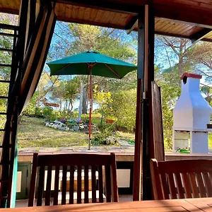 All'ombra Dei Pini - Casa Vacanze Appartamento